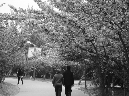 뽶zַϽɡֲ@ 鑪Tzַo