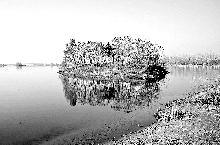 訪河南大閘蟹產(chǎn)地—中牟雁鳴湖