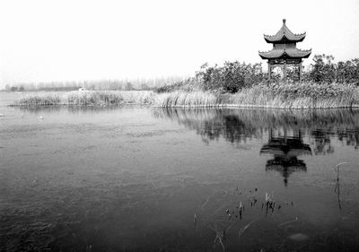 中牟雁鳴湖招商引資 大閘蟹價格可能上漲