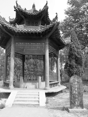 槌聲,為“汝陽杜康”帶來重生希望