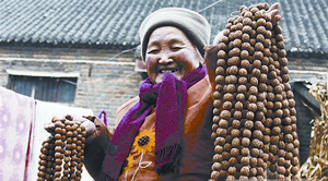 小桃核大世界
