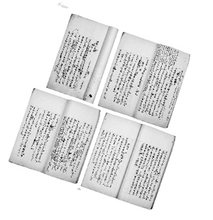 7成網(wǎng)友難舍方言 5成網(wǎng)友支持中小學(xué)開“河南課”