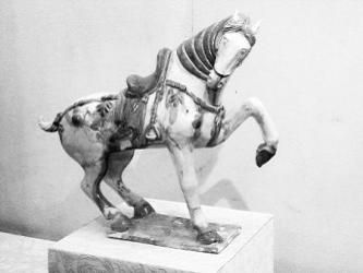 高水旺“臭”了一干專(zhuān)家
