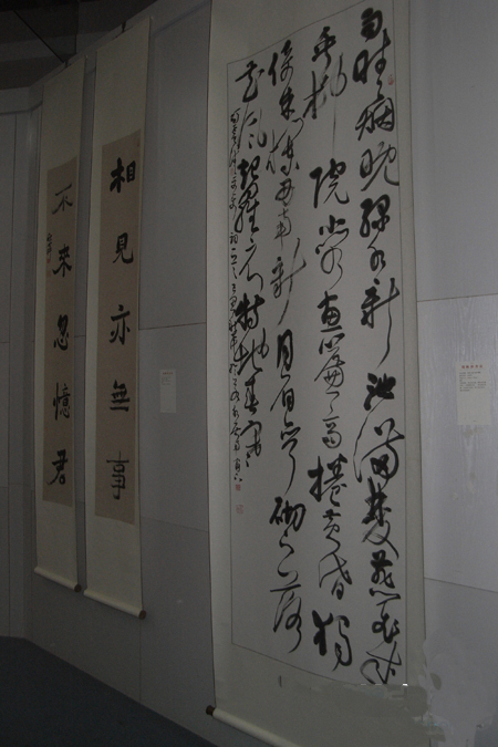 “乘物游心——胡秋萍書法藝術展”今日開幕