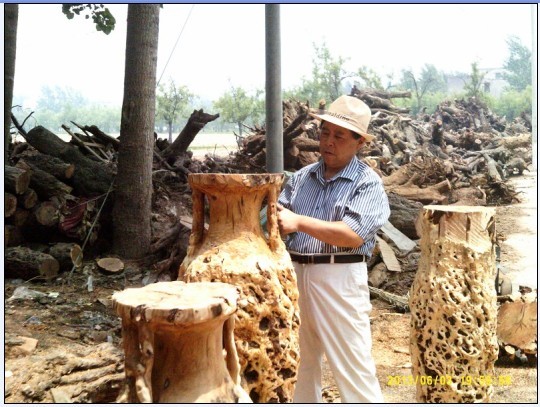 傳統(tǒng)文化的藝術(shù)奇葩---訪鄭州根雕藝術(shù)館趙一龍館長