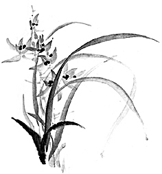 AA