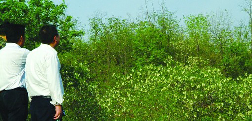 Դʮfϲӭ