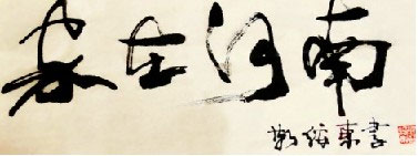 Ⱥںϡ
