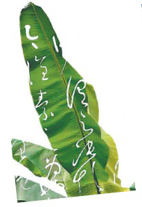 Ž~ϵ ՄՄغcݕ