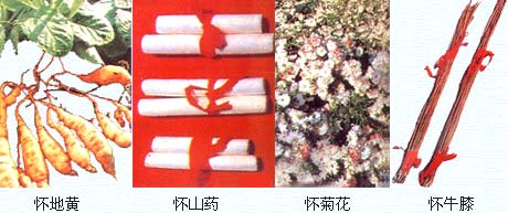 Ļza(chn)֪R(sh)-Ĵˎ(jin)