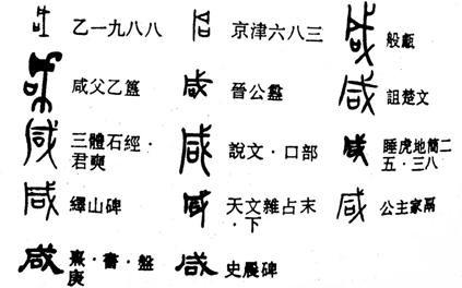 ֲ̡ζ xǡ