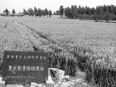 lʳǣİ