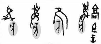 沩^ǧzvĹ