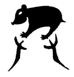 ׷-Դ