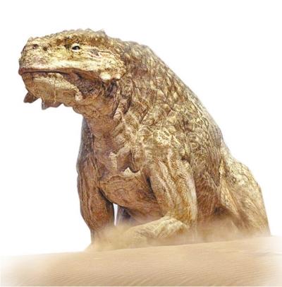 ԴXʯ ȿr5000f