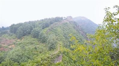 Lޏ֮Ɖ¼аl 漰